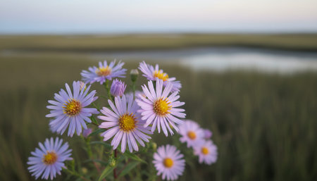 Beautiful Natural Environment Outdoor Photography