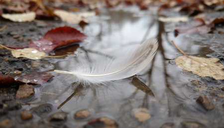 Beautiful Sky and Clouds in Natural Environmentの写真素材