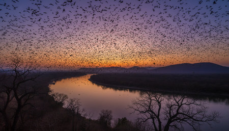 Beautiful Sky and Clouds in Natural Environmentの写真素材