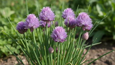 Natural Farm and Garden Elements Background