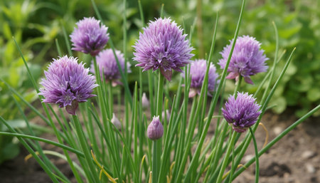 Natural Farm and Garden Elements Background