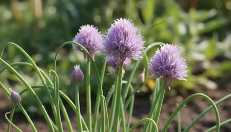 Natural Farm and Garden Elements Backgroundの写真素材