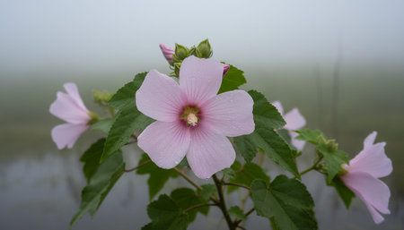 Beautiful Natural Forest Landscape with Trees and Green Plants Backgroundの写真素材