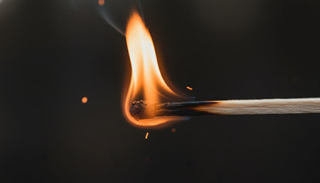 Atmospheric night scenes featuring vibrant bonfires and celebratory fireworks in a natural forest setting.