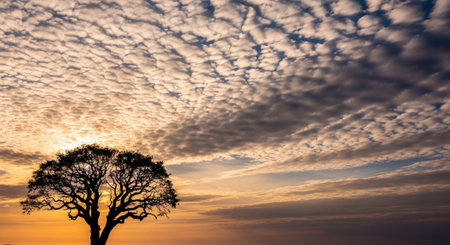 Scenic Landscape with Dramatic Sky