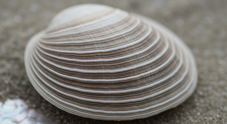 Background of Natural Material Texture