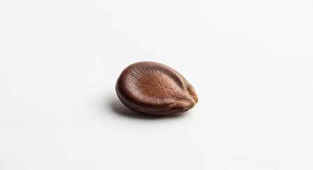 Minimal Object and Everyday Item Collection