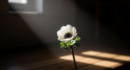 Background of flower