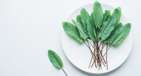Food and Ingredient Background