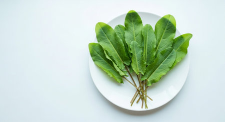 Food and Ingredient Background