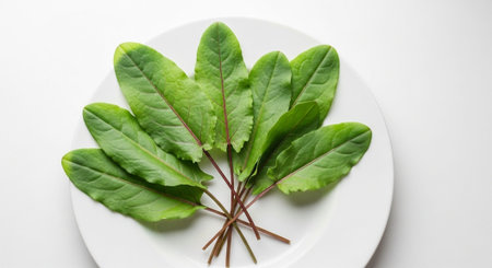 Food and Ingredient Background