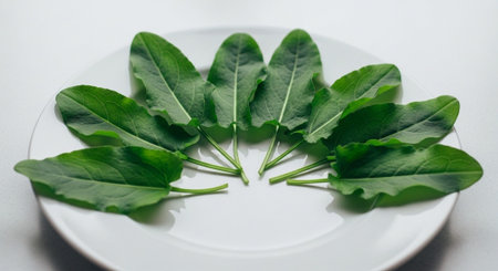 Food and Ingredient Background