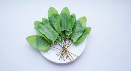 Food and Ingredient Background