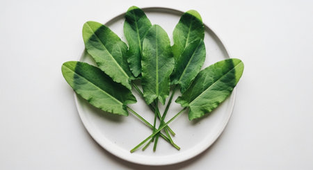 Food and Ingredient Background