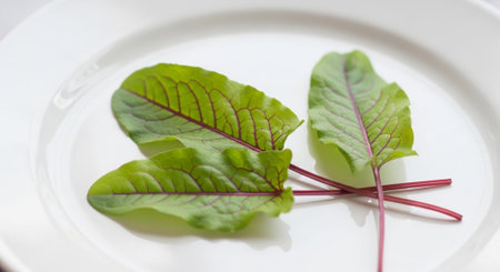 Fresh Produce and Natural Food Collection