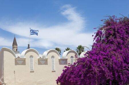 Bougainvillea in Kos city