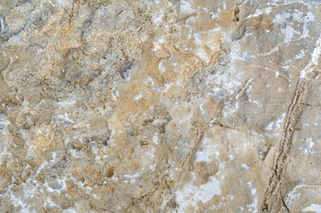 Stone textureの写真素材