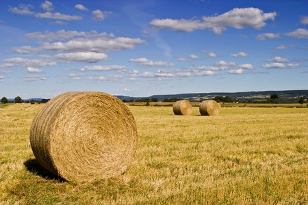 Straw bale on the field