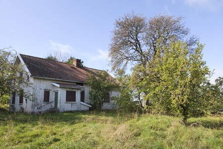 Overgrown garden to the abandoned houseのeditorial素材