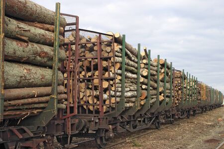Lumber goods on a traine.の写真素材