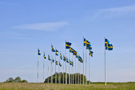Swedish flags waving in the windの写真素材