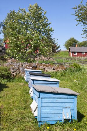 Bee hives in a gardenの写真素材