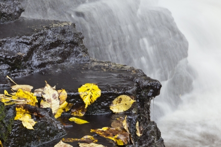 Waterfall with autumn leaves in the water, long exposure timeの写真素材