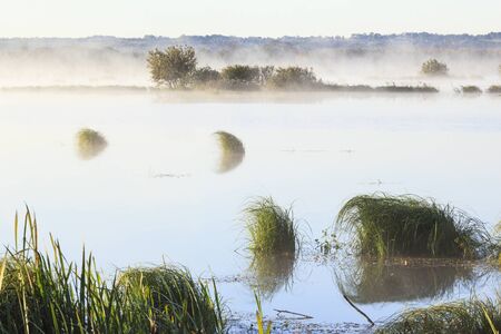 Morning mist over the lakeの写真素材