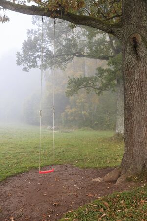 Red swing hanging from a tree in autumn parkの写真素材
