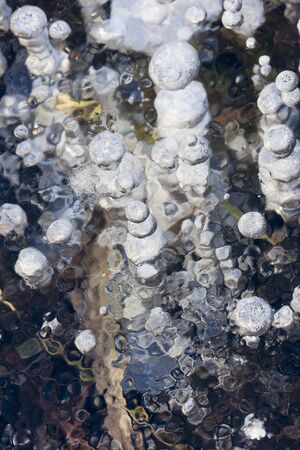 Air bubbles and cracks in the ice