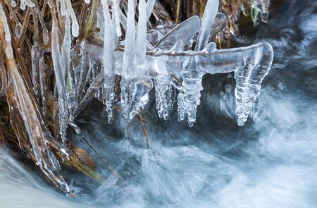 Grass covered with ice at the creekの写真素材