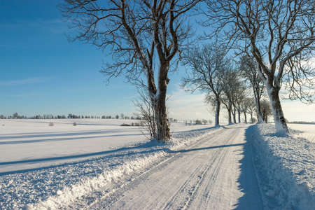 New plowed winter road in the countrysideの写真素材