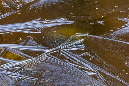 Ice pattern on a frozen pond