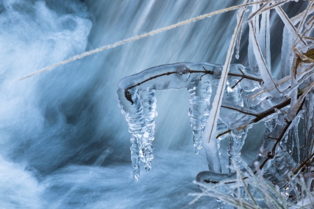 Grass and branches covered with ice at the creekの写真素材