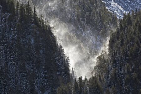 Forest ravine in snowfall and backlight