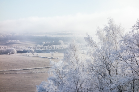 View of a frozen forest landscapeの写真素材