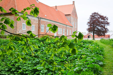 Branch with leaves, and a old castleのeditorial素材