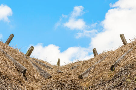 Reed covered roof on houseの写真素材