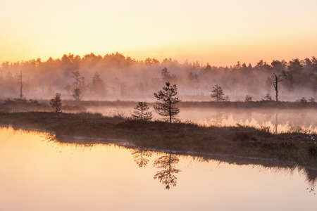 Sunrise over the lake at the forest