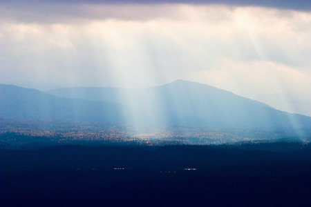Sunbeam in the wooden landscape