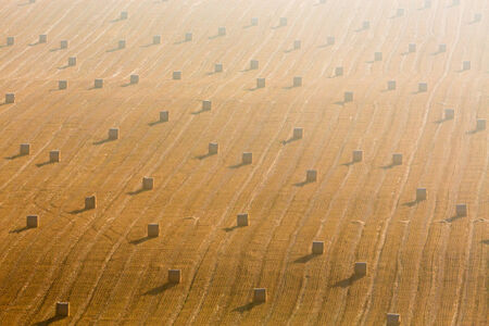 Bales after harvest on a stubble field