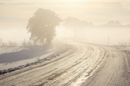 Winter road in misty countrysideの写真素材