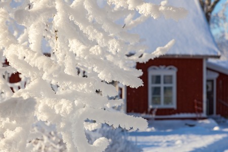 Snow covered branches in the garden by the red cottageの写真素材