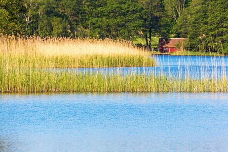 Lake with redds and a red cottageの写真素材
