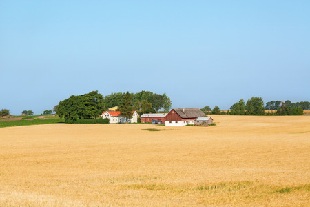 Farm in the cornfield in rural landscapeの写真素材