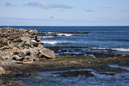 Rocky coast and sea waves