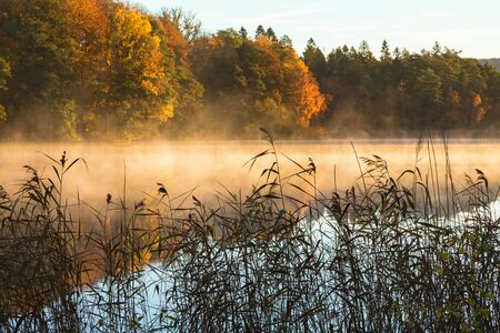 Morning fog by the lake in the fallの写真素材