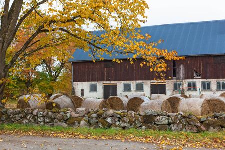 Barn by the road and balesの写真素材