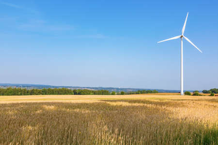 Corn field with a windmill and a view of the landscapeの写真素材
