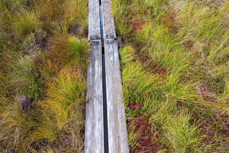 Hiking trail on planks through the bog